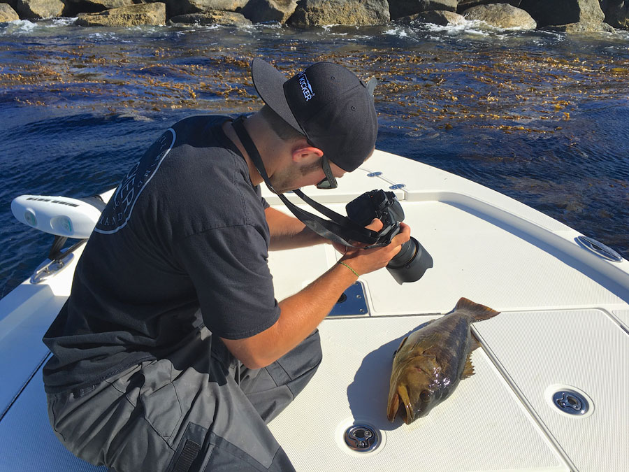 Jeff Rodgers records finer details of his biggest calico bass to date.