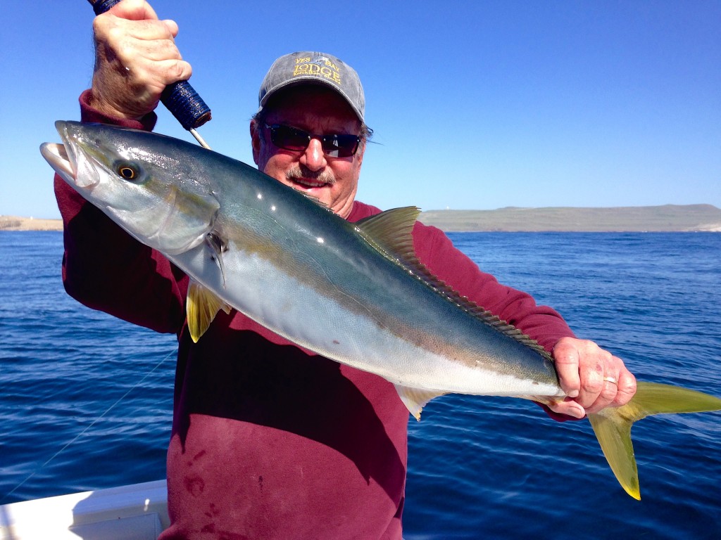 "Hey Don, show me your yellowtail...thanks!"