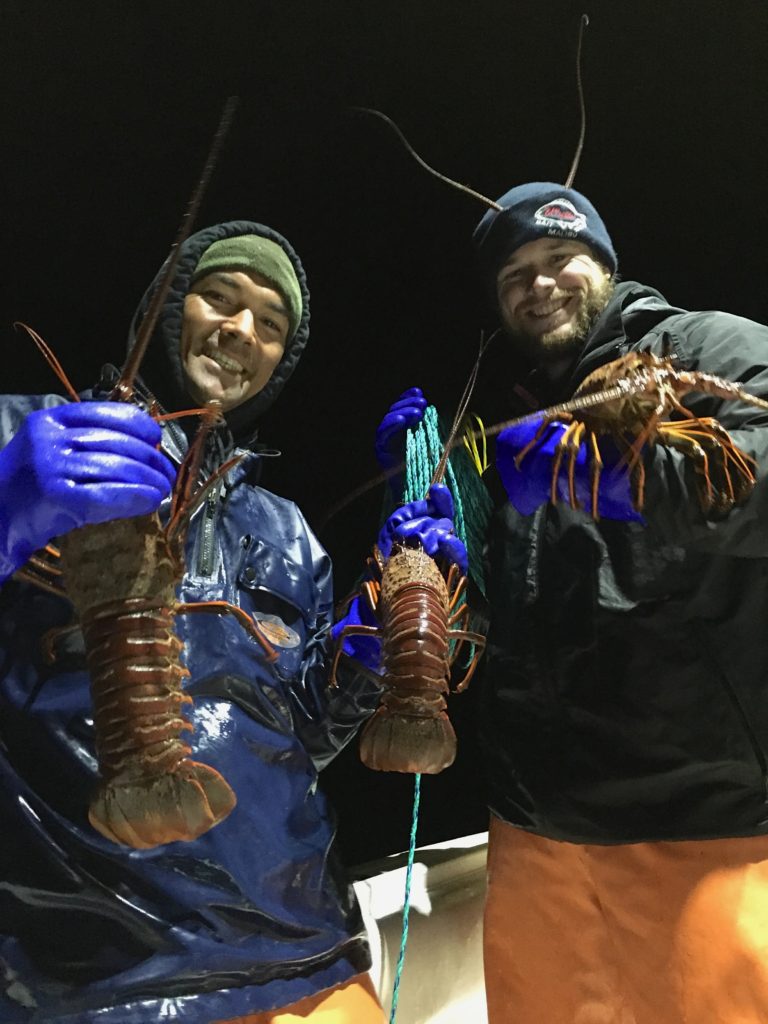 Some ocean roaches and a few lobster too.